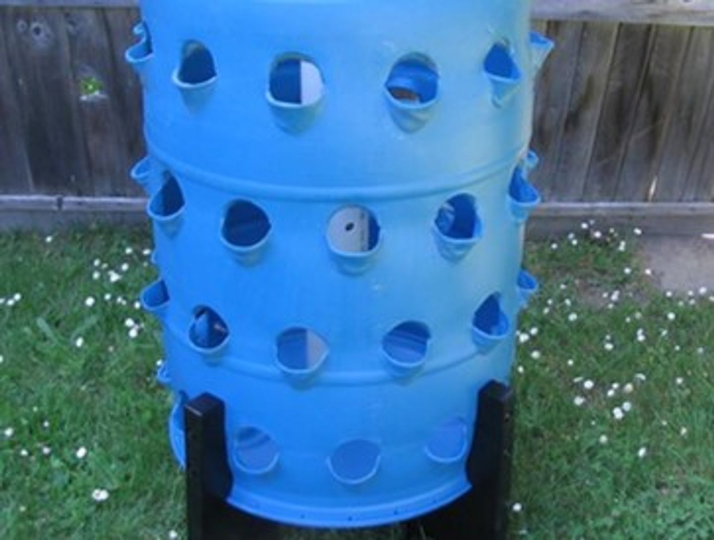 Barrel perforated with planting holes