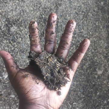 Testing the moisture - mixture stays in shape