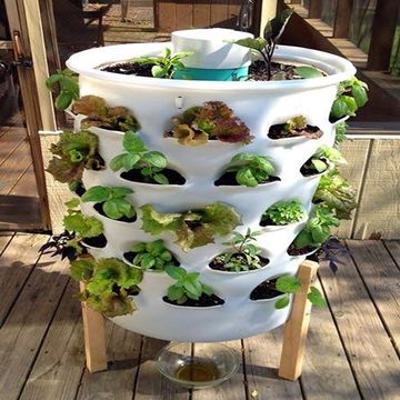 Ready made planting system with plants